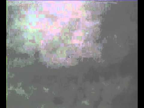 Citation 1 2blade 4500kv.mpg