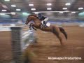 Showjumping- Piece of me