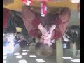 gozi dancing