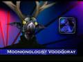 Voodooray-on-Moonkin