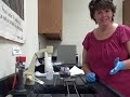 Gram stain