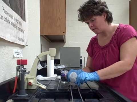 how to perform gram staining