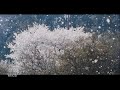 恋空 - erica