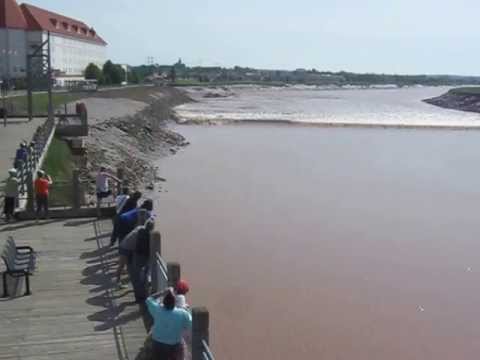 tidal - For Daniel LeBlanc, his team, supporters, and City Council who all put a stop to laying more unnecessary rocks(rip rap) on our waterfront! This clip was take...