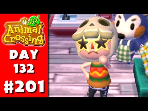 how to harvest skullcap