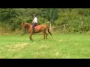 Origine du Bisson mont�e