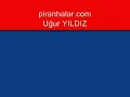 2 tane levrek ard arda