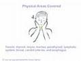 www.SelfHealingExpressions.com ~ Reiki Hand Positions 1- 4