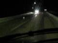 videos de crazy rabbit goes suicide