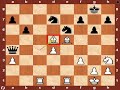 World Chess Championship 2010: Anand vs. Topalov - Game 9