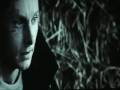  - MovieZen Video