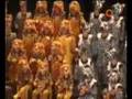 Carnaval Cádiz africanos geographical fugue