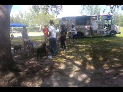Pitbull event at CB smith park 10-20-13
