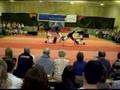 2F - examen d'acrobatie HENAM 2008
