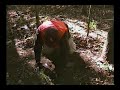 Research and Recovery - Episode 5: Unexpected Finds! Part 2