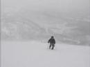 Niseko Back Country: Fresh Powder, No Tracks