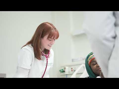 Stevenson Honors Program: Explore Your Passion and Collaborate with Like-Minded Students