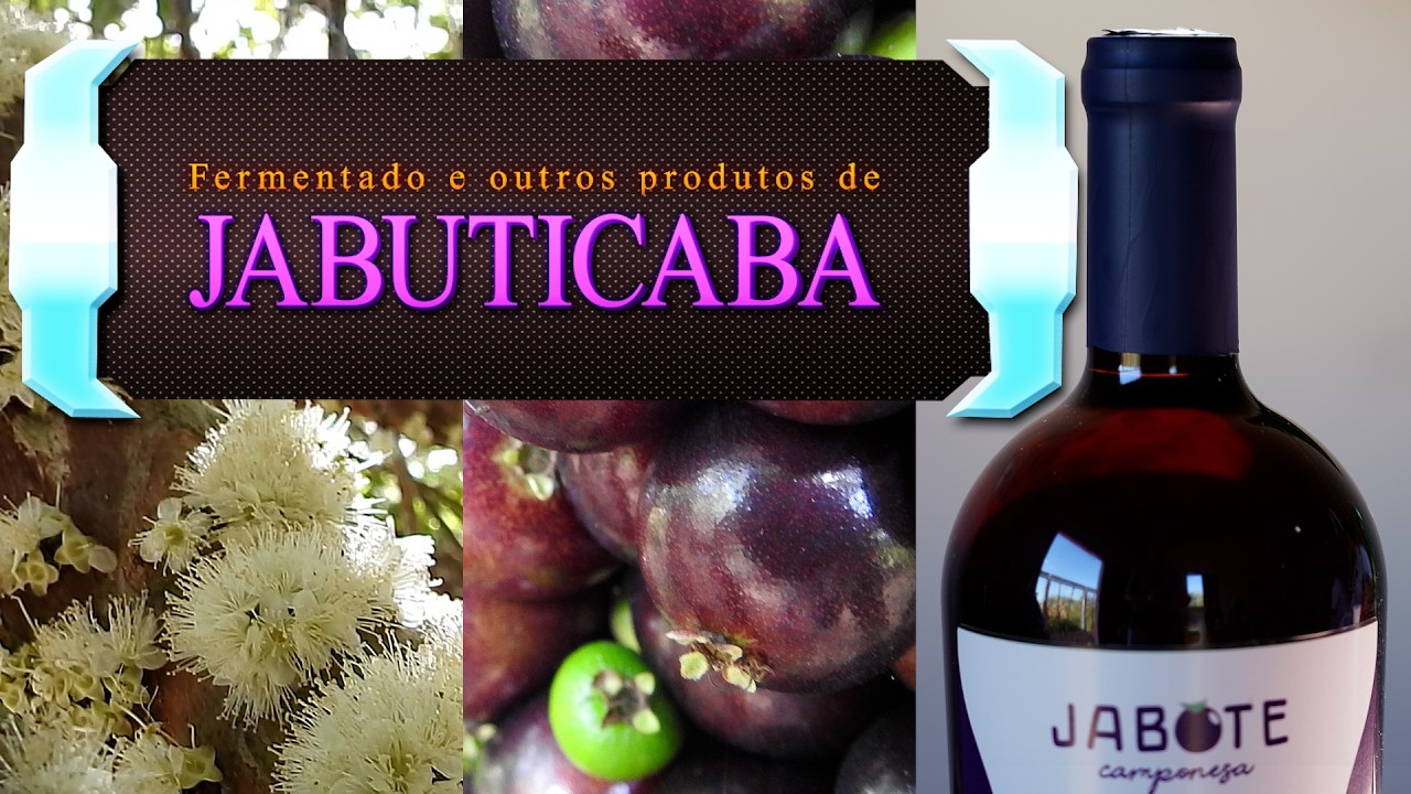 Tradição e ciência se unem na criação de produtos com jabuticaba