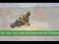 \"F�siles en el desierto\"