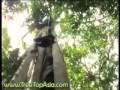 Bangkok & Chiang Mai Canopy Adventure Tour-Flight of the Gibbon
