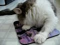 Rema - Rubbing Her Face On My Mousepad