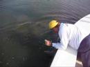 Don Carlson Fly Fishing: With Capt. Russell Tharin Don Carlson Fly Fishing: With Capt. Russell Tharin