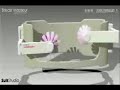 Breast Massage Robot