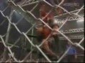 UNDERTAKER HISTORY OF HELL IN A CELL