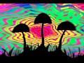 trippy video