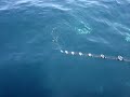 JIGGING - DORADO - RIO DE JANEIRO JIGGING - DORADO - RIO DE JANEIRO