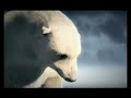 Quercus - Animais