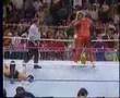 Ultimate-Warrior-vs-