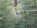 videos de Tom on the Zip Wire