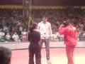 sinan avrasya