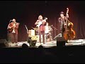 Manjula - The Polyjesters