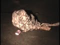 Mujer muere atropellada