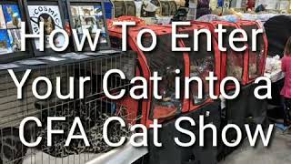 How to Register into a CFA cat show