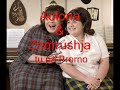 Humore-stafi-shqiper