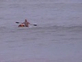 SURF DOG 5 SURF DOG 5