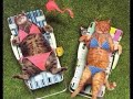 FUNNY CATS AND DOGS