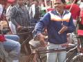 Rickshaw fun in
