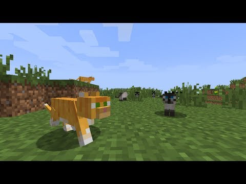 how to get a cat i minecraft