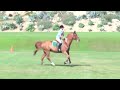 Fab and Bridge- bank warm up Fab and Bridge- bank warm up