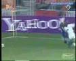 Very good nutmegs
