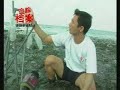 Save Our Seahorse @ NTV 7 edisi siasat (part 2) Save Our Seahorse @ NTV 7 edisi siasat (part 2)