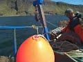 exciting-day-in-the-life-of-mull-fishermen-catching-prawns.html