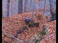 kleine Kugelbombe in Fernseher