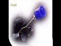 damar1
