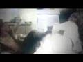 Assistir ao v�deo