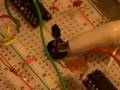 breadboard WSG mutations
